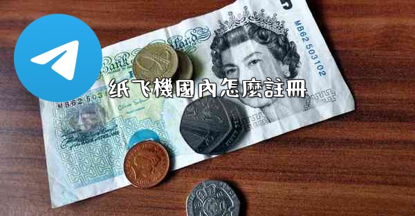 纸飞機國內怎麼註冊