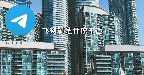 飞機號是什麼东西