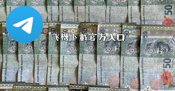 飞機下載官方入口