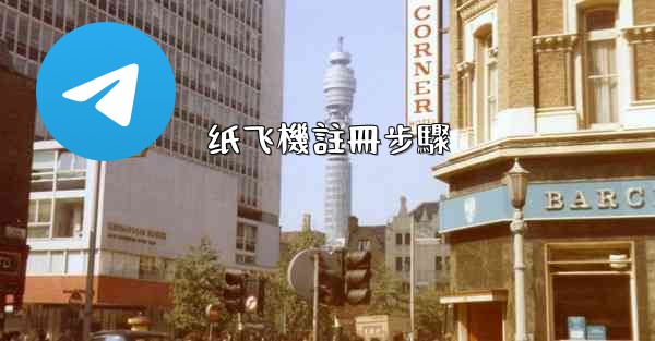 <b>纸飞機註冊步驟</b>