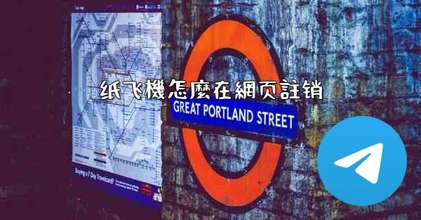 纸飞機怎麼在網页註销