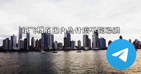 纸飞機在國內為什麼不能聯網