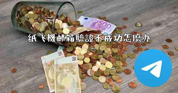 纸飞機邮箱驗證不成功怎麼办