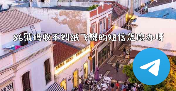 86號碼收不到纸飞機的短信怎麼办呀