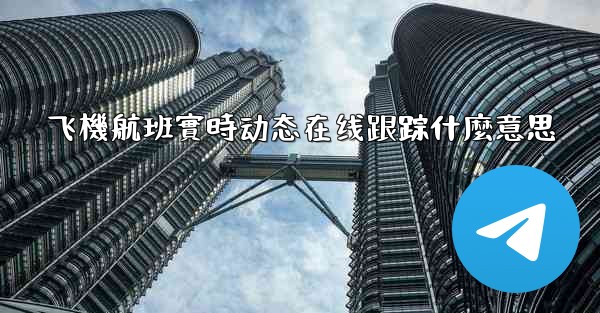 <b>飞機航班實時动态在线跟踪什麼意思</b>