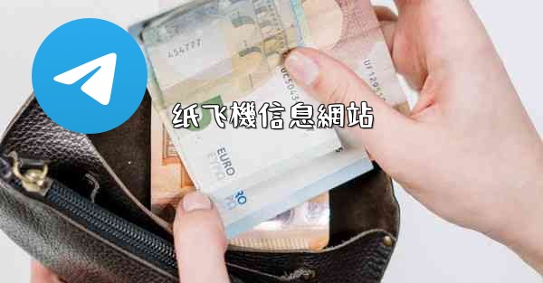 纸飞機信息網站