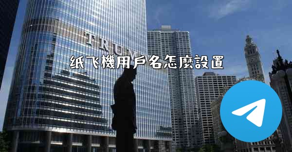 <b>纸飞機用戶名怎麼設置</b>