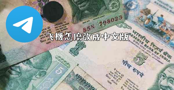 飞機怎麼改成中文版