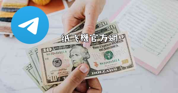 纸飞機官方網