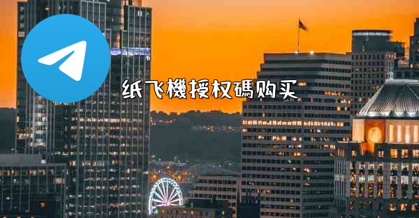 纸飞機授权碼购买