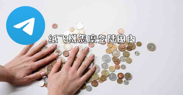 纸飞機怎麼登陆國內