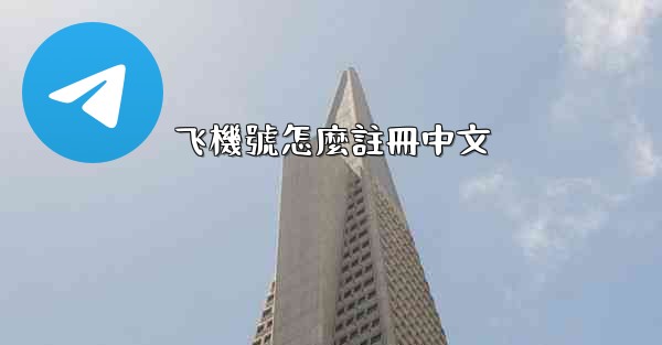 飞機號怎麼註冊中文