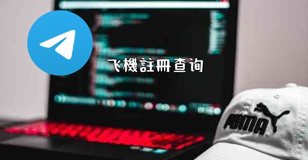 <b>飞機註冊查询</b>