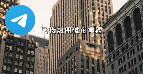 飞機註冊號在哪裡