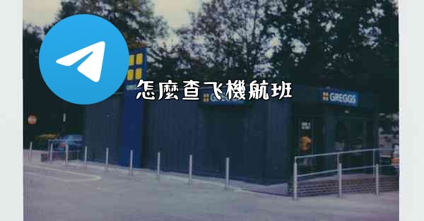 怎麼查飞機航班