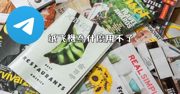纸飞機為什麼用不了
