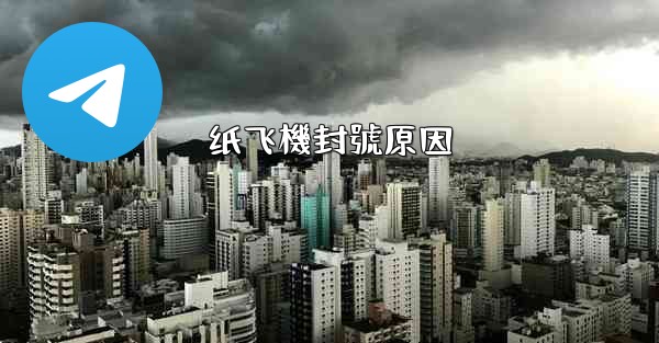 纸飞機封號原因