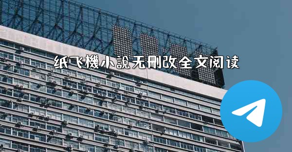 纸飞機小說无刪改全文阅读