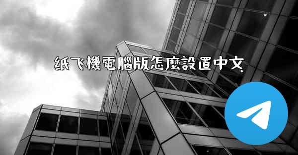 纸飞機電腦版怎麼設置中文
