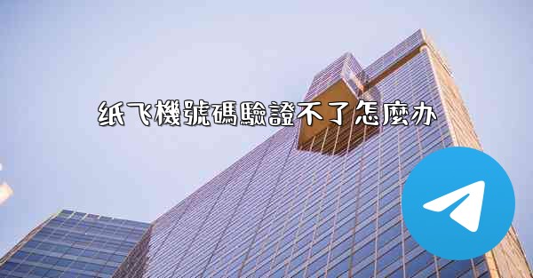 纸飞機號碼驗證不了怎麼办