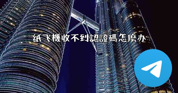 纸飞機收不到認證碼怎麼办