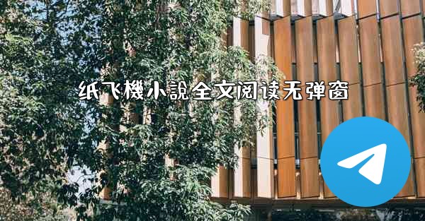 纸飞機小說全文阅读无弹窗