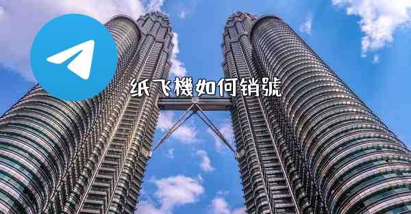 纸飞機如何销號