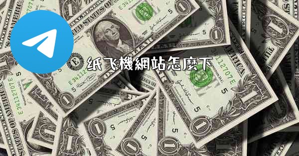 纸飞機網站怎麼下
