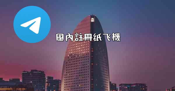 <b>國內註冊纸飞機</b>