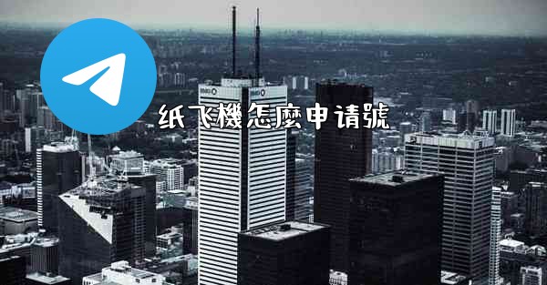 纸飞機怎麼申请號