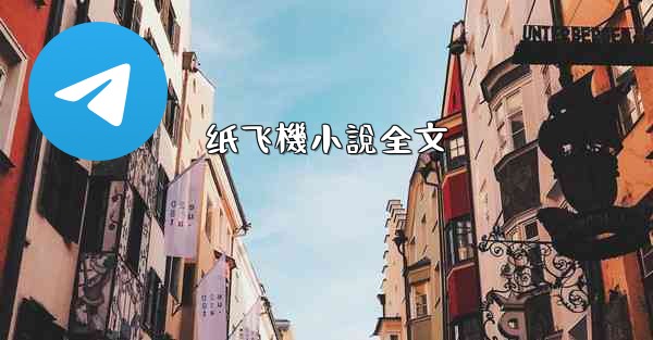 纸飞機小說全文