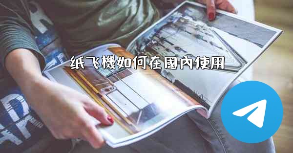 纸飞機如何在國內使用