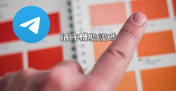 纸飞機驗證碼