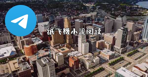 纸飞機小說阅读