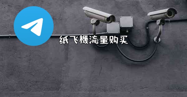 纸飞機流量购买