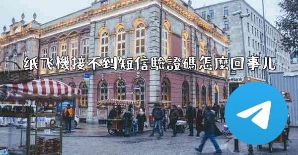 纸飞機接不到短信驗證碼怎麼回事儿