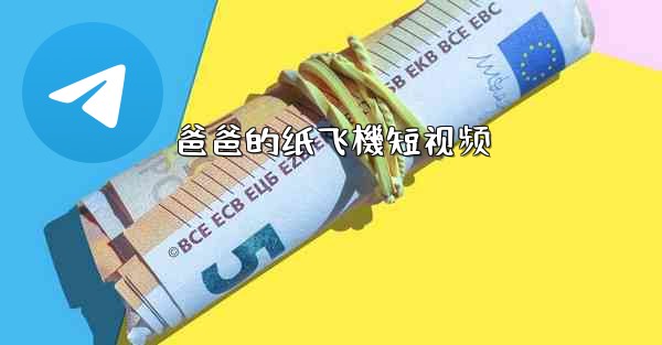 爸爸的纸飞機短视频