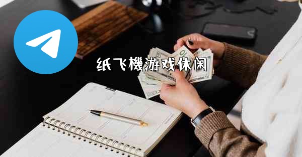 纸飞機游戏休闲