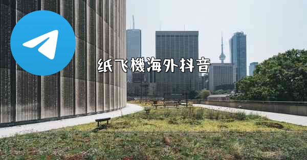 纸飞機海外抖音