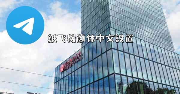 纸飞機簡体中文設置