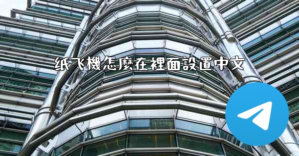 纸飞機怎麼在裡面設置中文