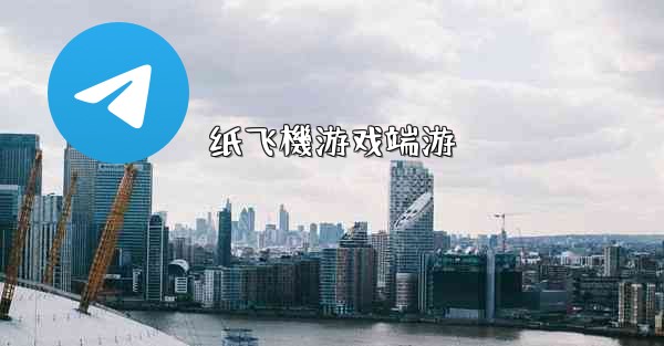 纸飞機游戏端游