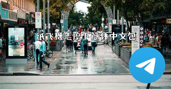 纸飞機怎麼下簡体中文包