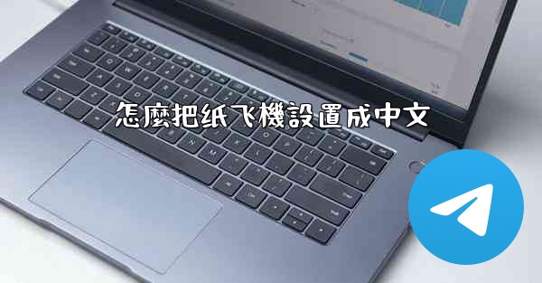 怎麼把纸飞機設置成中文