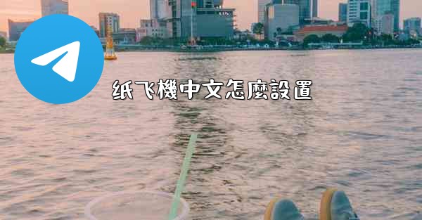 纸飞機中文怎麼設置