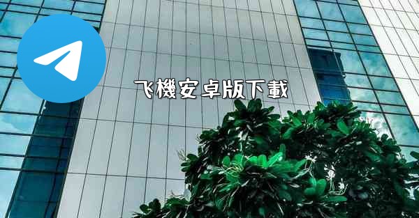 飞機安卓版下載