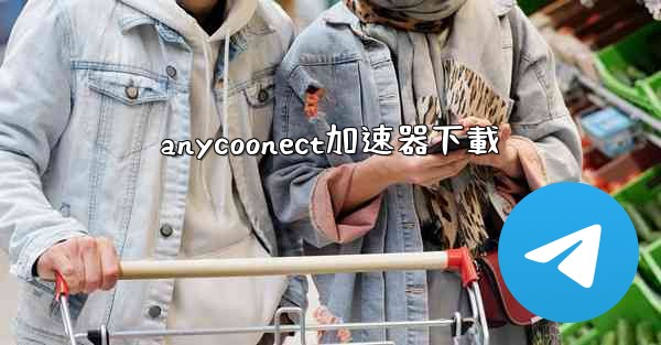 <b>anycoonect加速器下載</b>