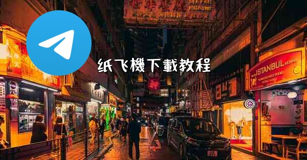 <b>纸飞機下載教程</b>