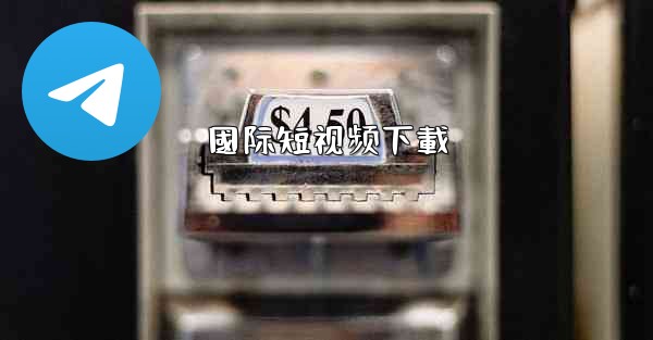 國际短视频下載