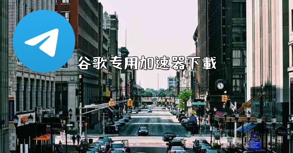 <b>谷歌专用加速器下載</b>